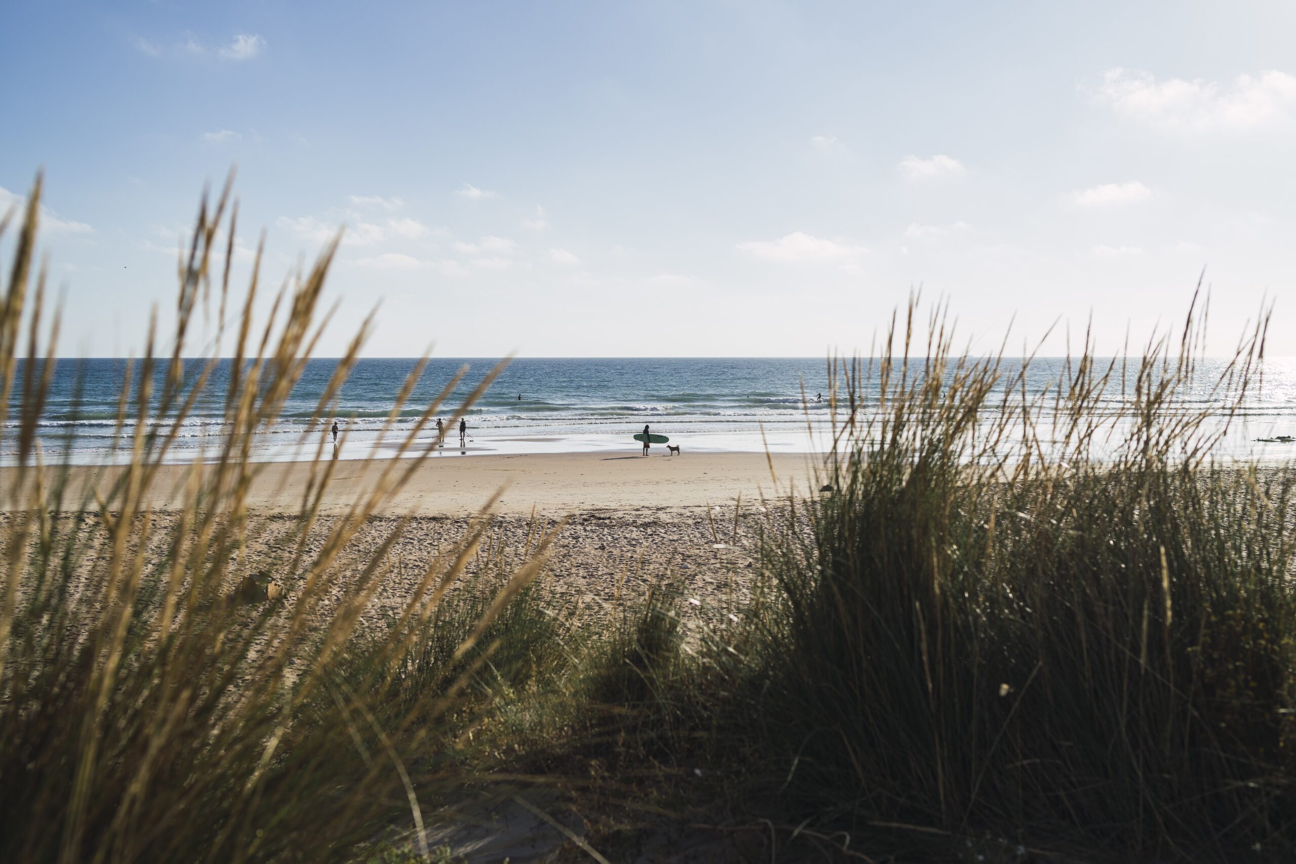 Paysage de bord de mer dans les Landes