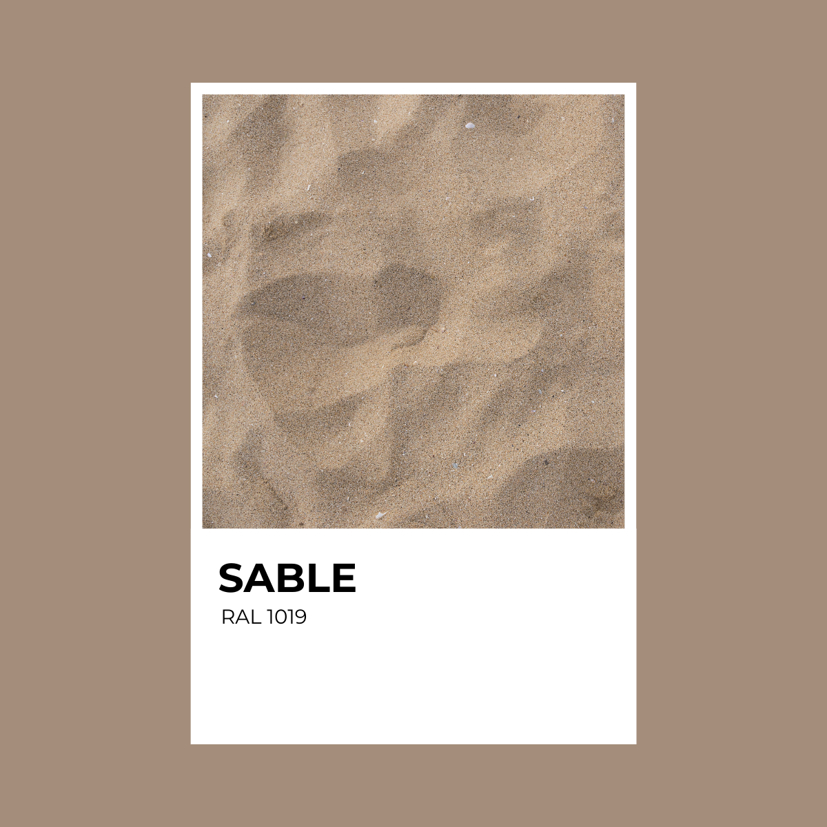 RAL 1019